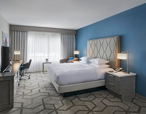 Guest room with a king bed, a blue accent wall and a curtained window