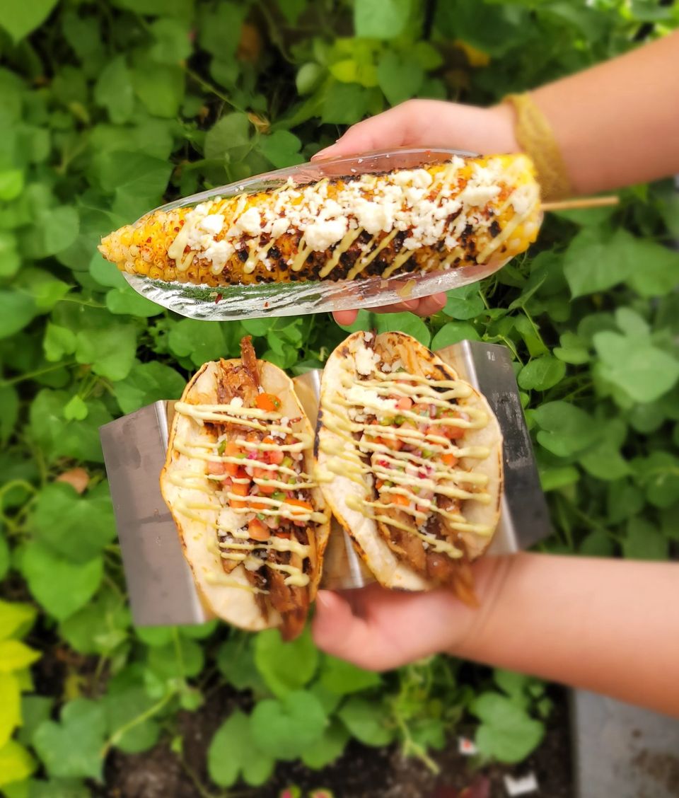 Grillezett kukorica és két taco kézben, zöld lombok előtt