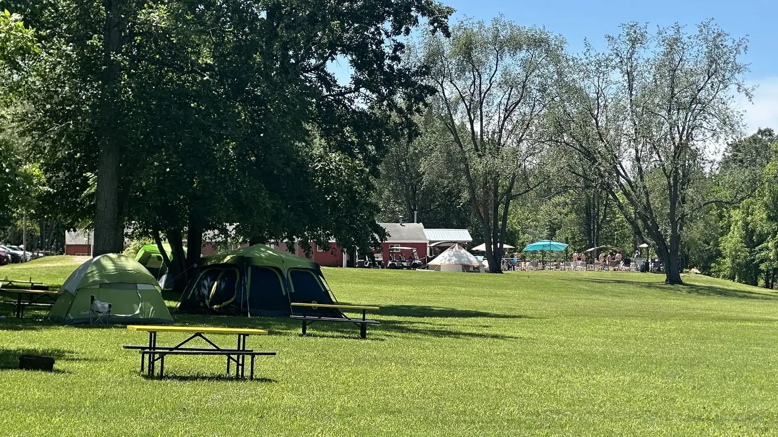 Tents and picnic tables on the grassy, tree-lined campground meadow