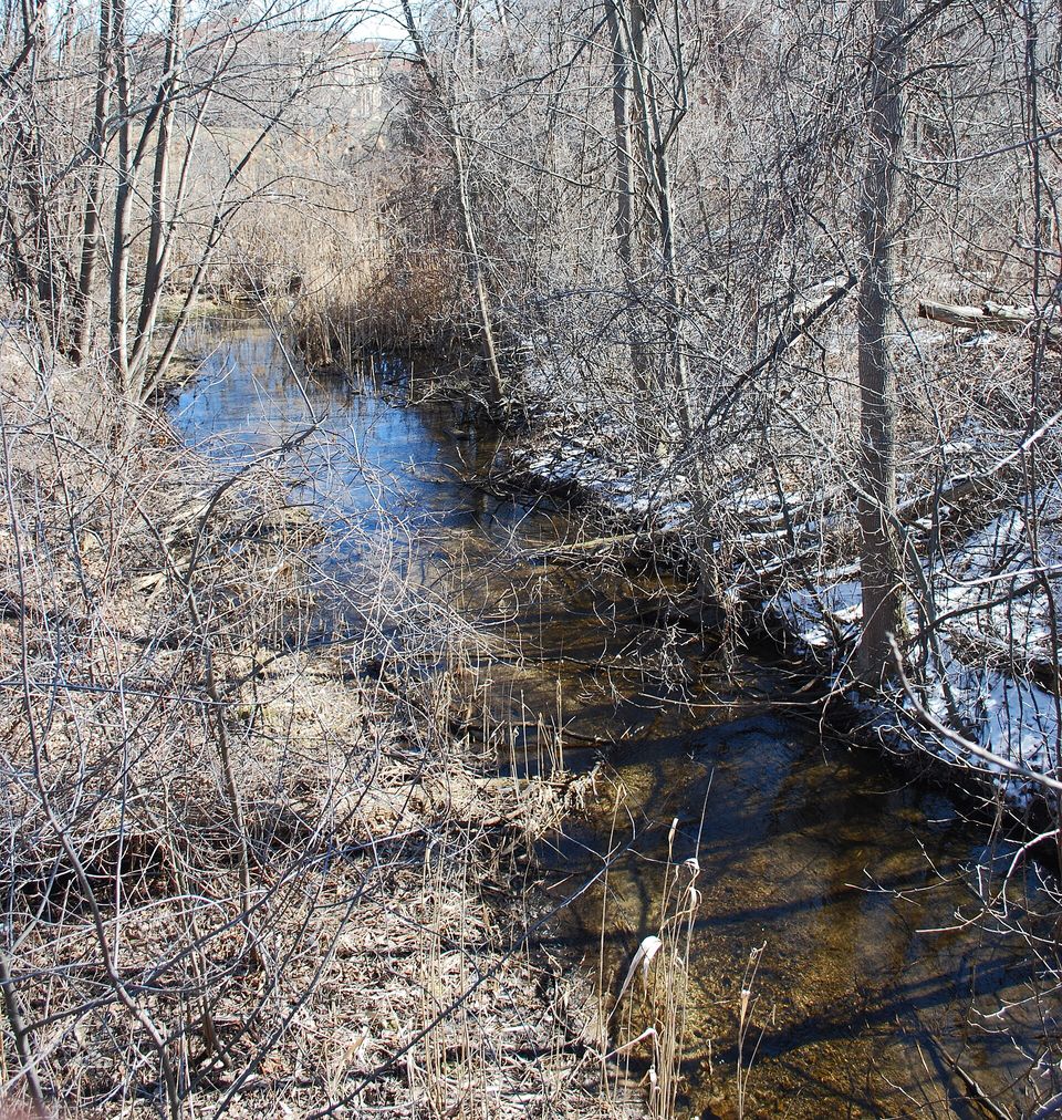 Remains of the Clinton–Kalamazoo Canal at 22 Mile Road
