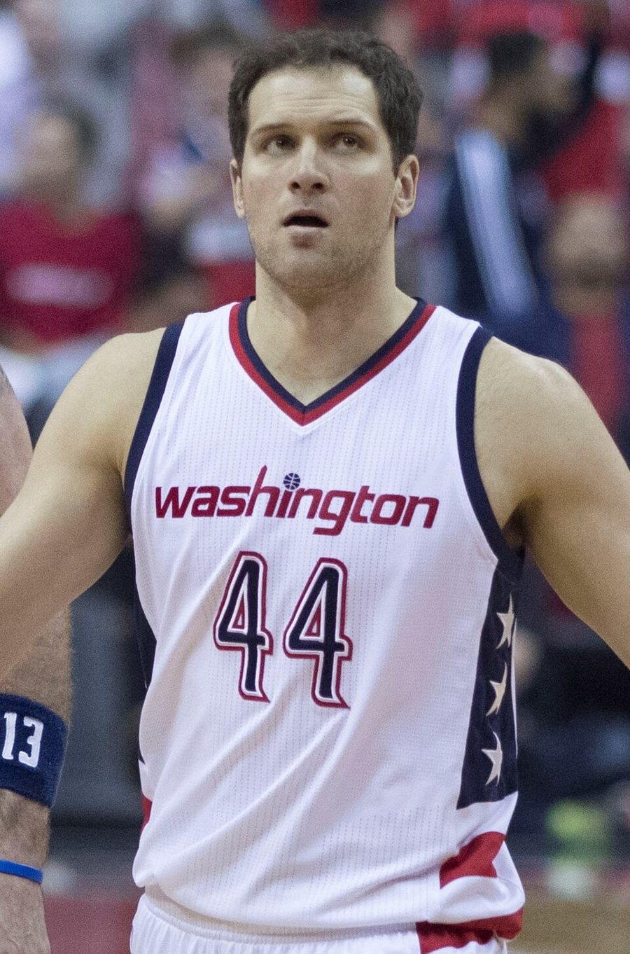 Bojan Bogdanović portréja