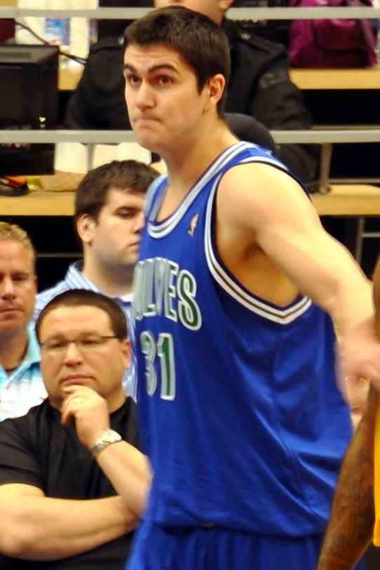 Darko Miličić portréja