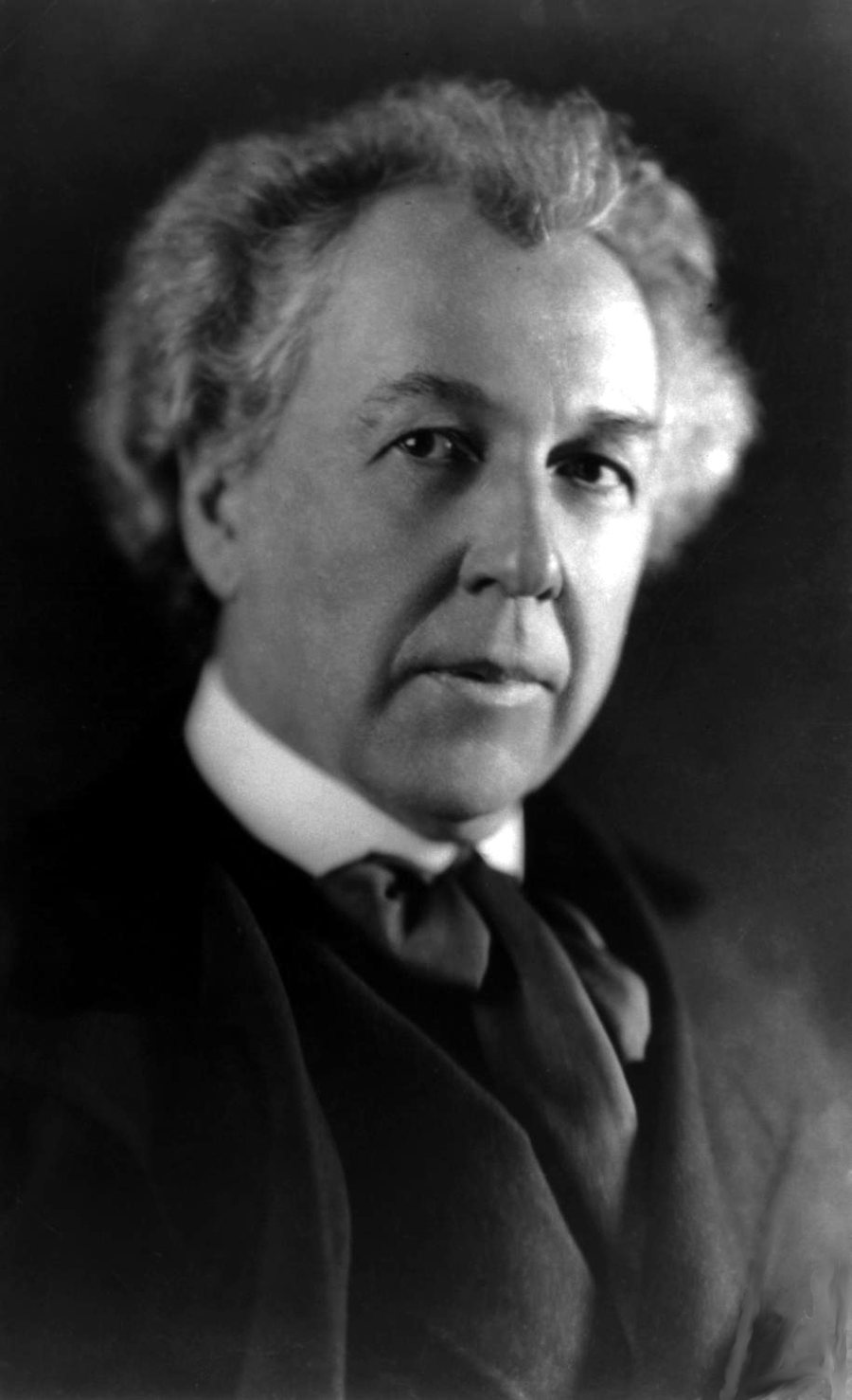 Frank Lloyd Wright portréja