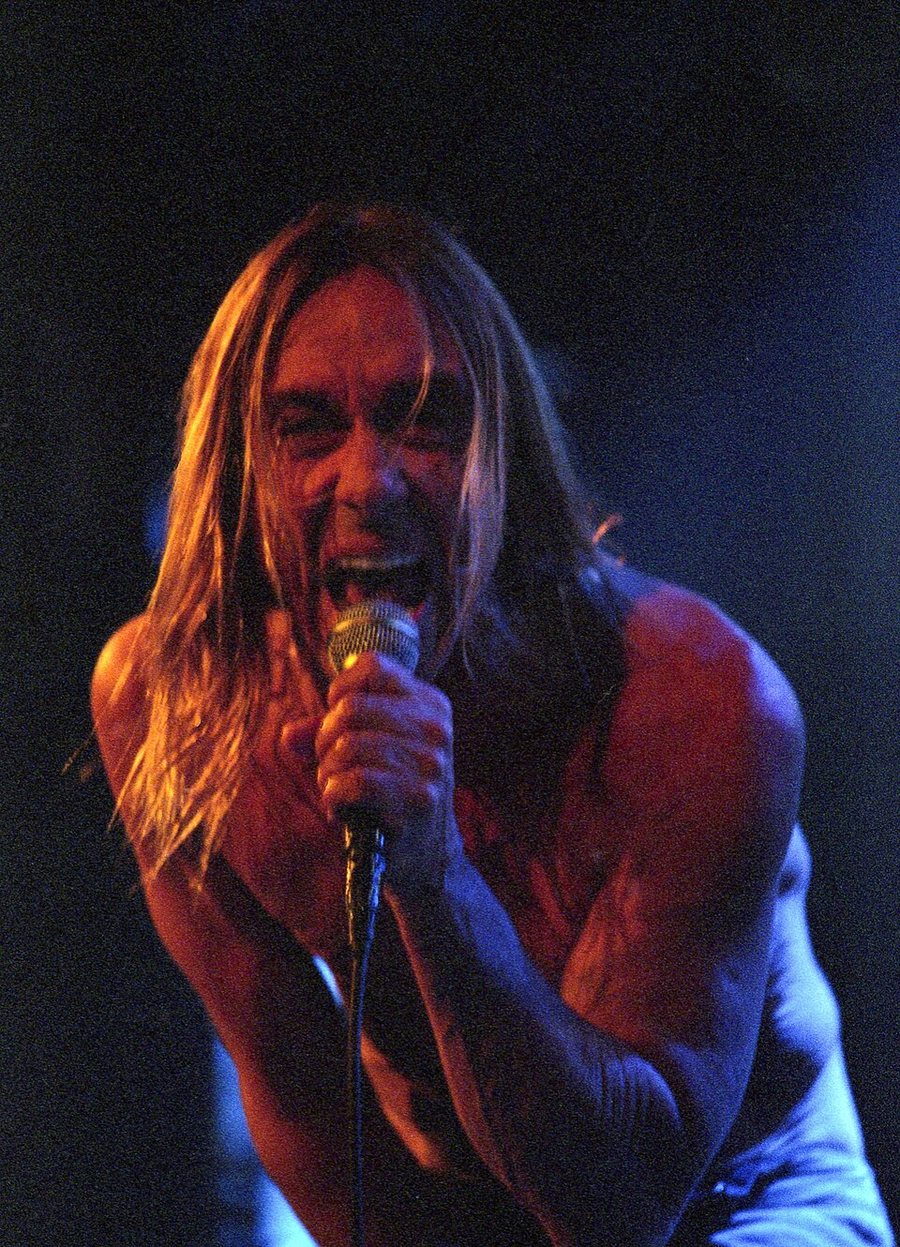 Portrait of Iggy Pop