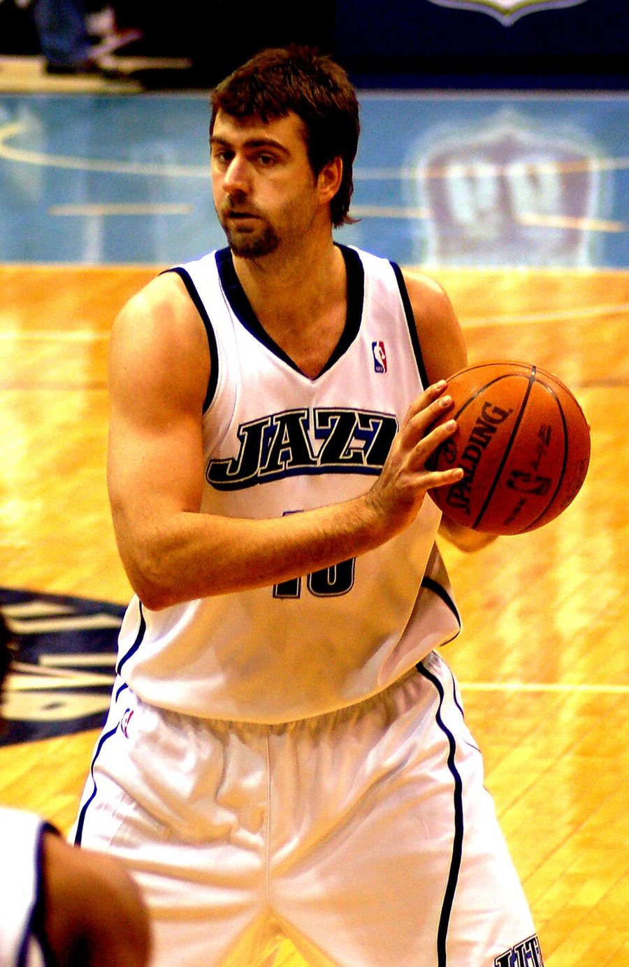 Portrait of Mehmet Okur