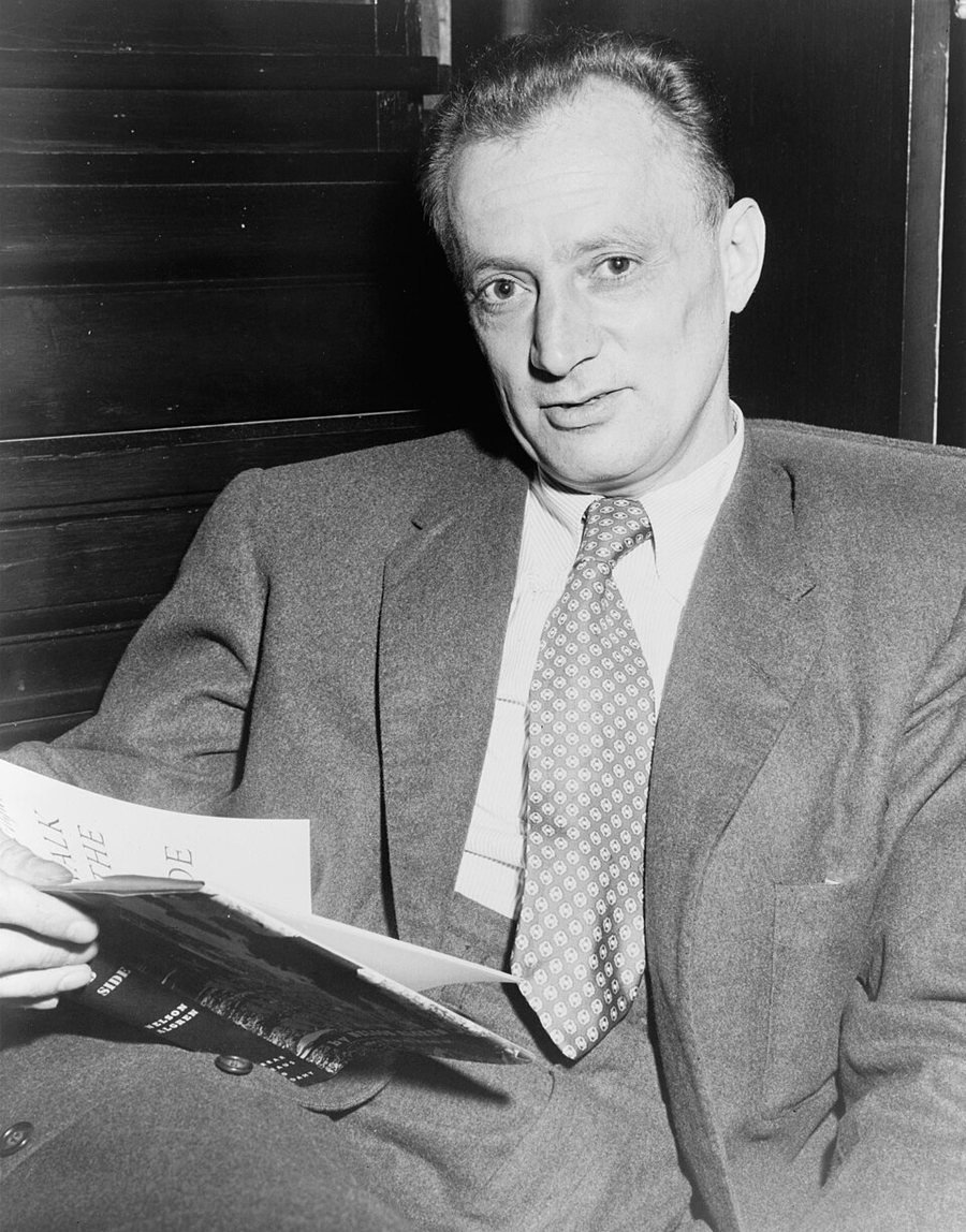 Nelson Algren portréja