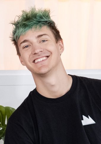Ninja portréja