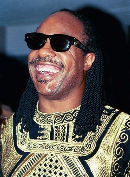 Stevie Wonder portréja
