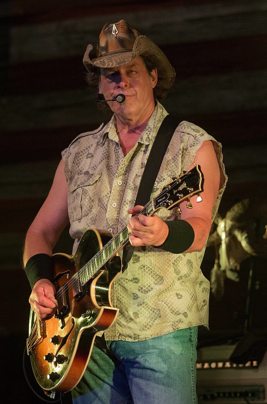 Ted Nugent portréja