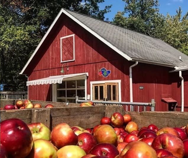 The red mill building behind a crate full of red apples