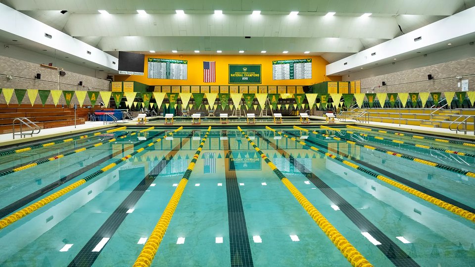 The pool from the starting blocks, under green and gold pennants