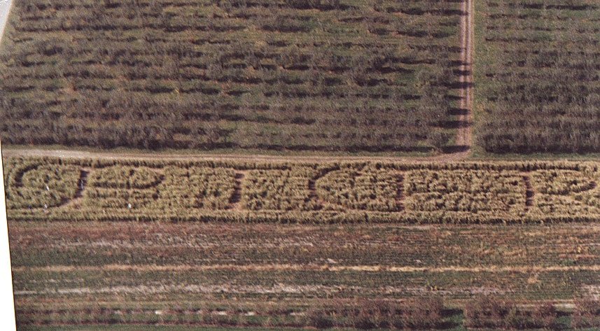 Aerial view of the corn maze