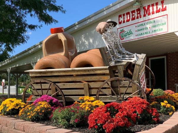 Fall display with mums and a wagon at the cider mill entrance
