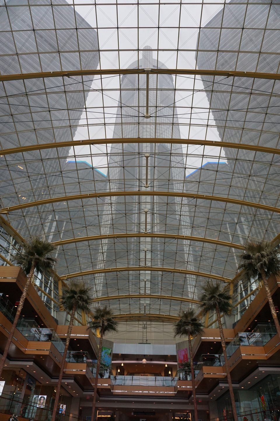 Looking up through the Wintergarden’s glass roof at the towers above (2015)