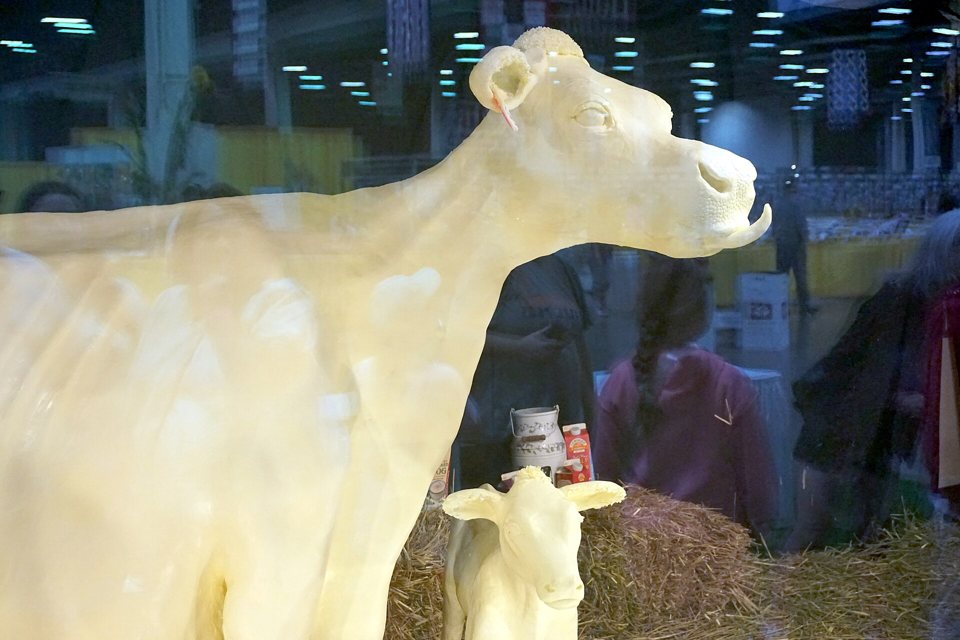 Michigan State Fair